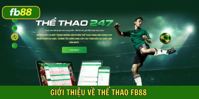 Thể thao FB88 thu hút hơn 2,5 triệu người tham gia năm 2025