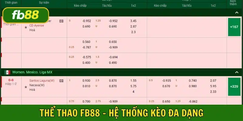 Tất cả các kèo được cập nhật chính xác, nghiên cứu cẩn thận